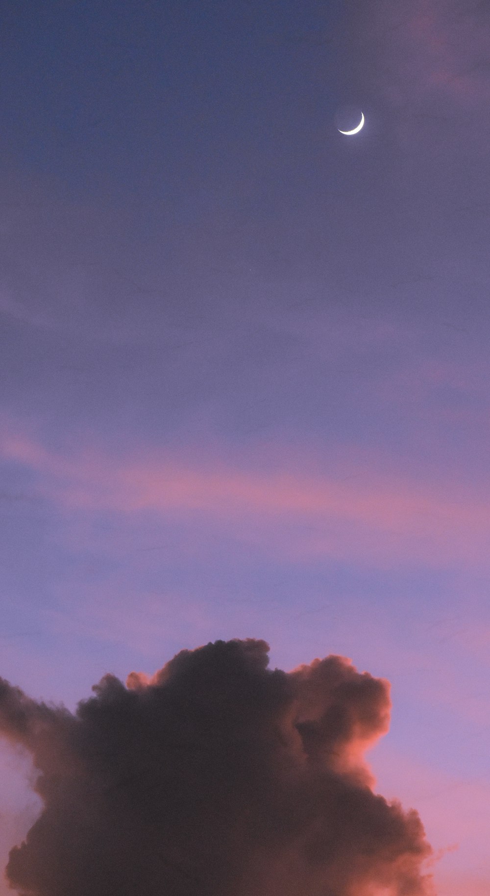 silhouette of trees under cloudy sky during daytime