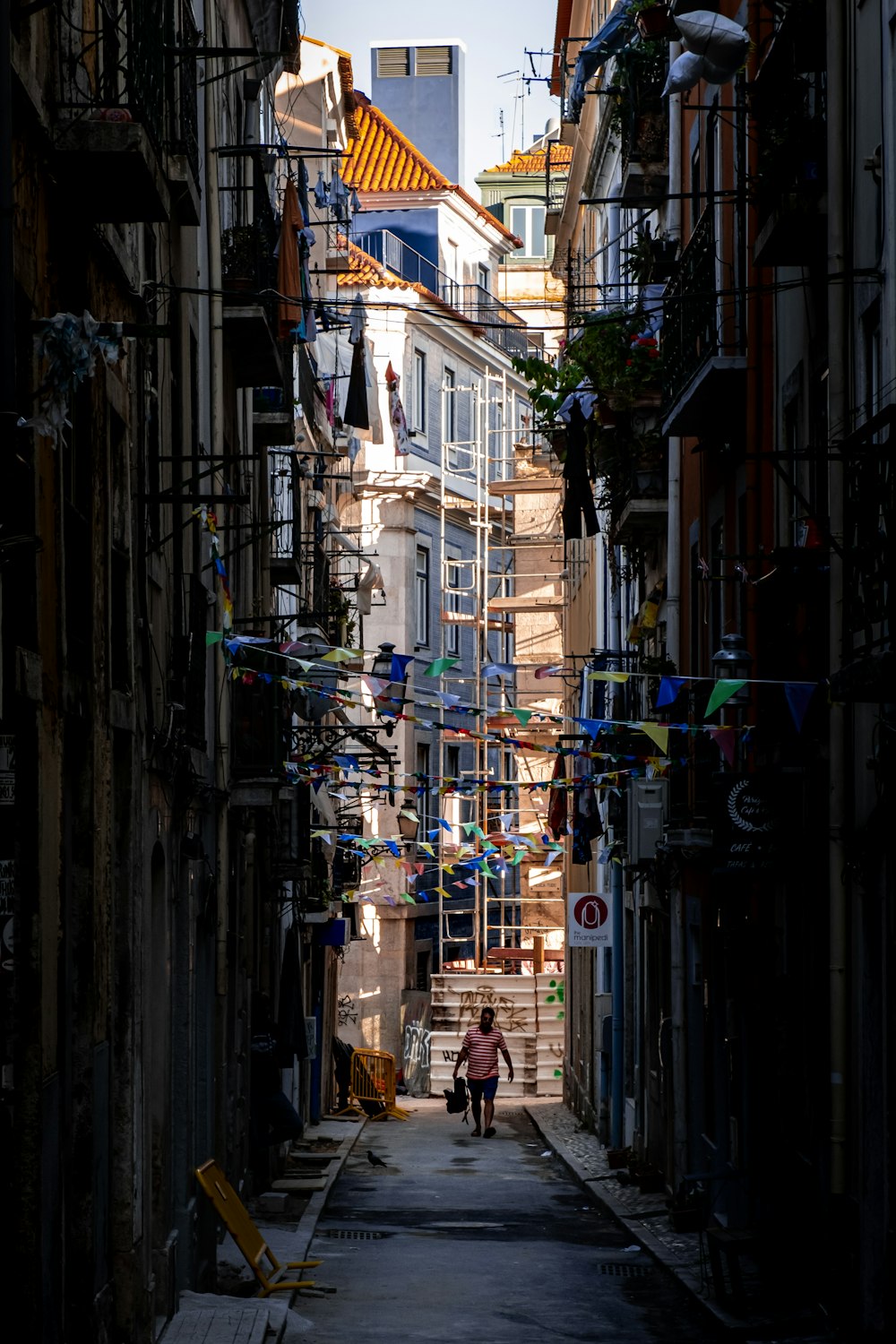 people walking on street during daytime