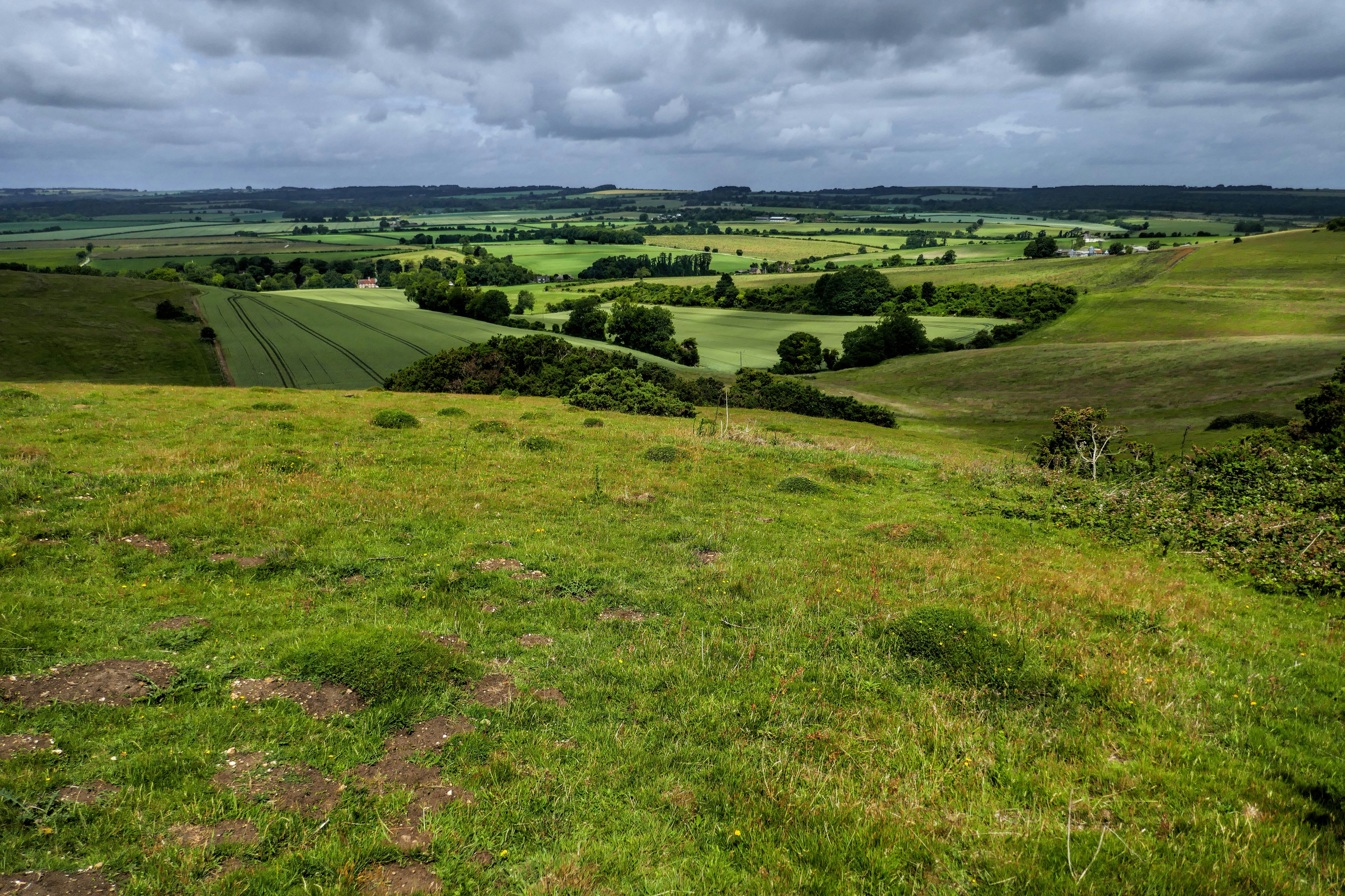 Photo by bacchanalia