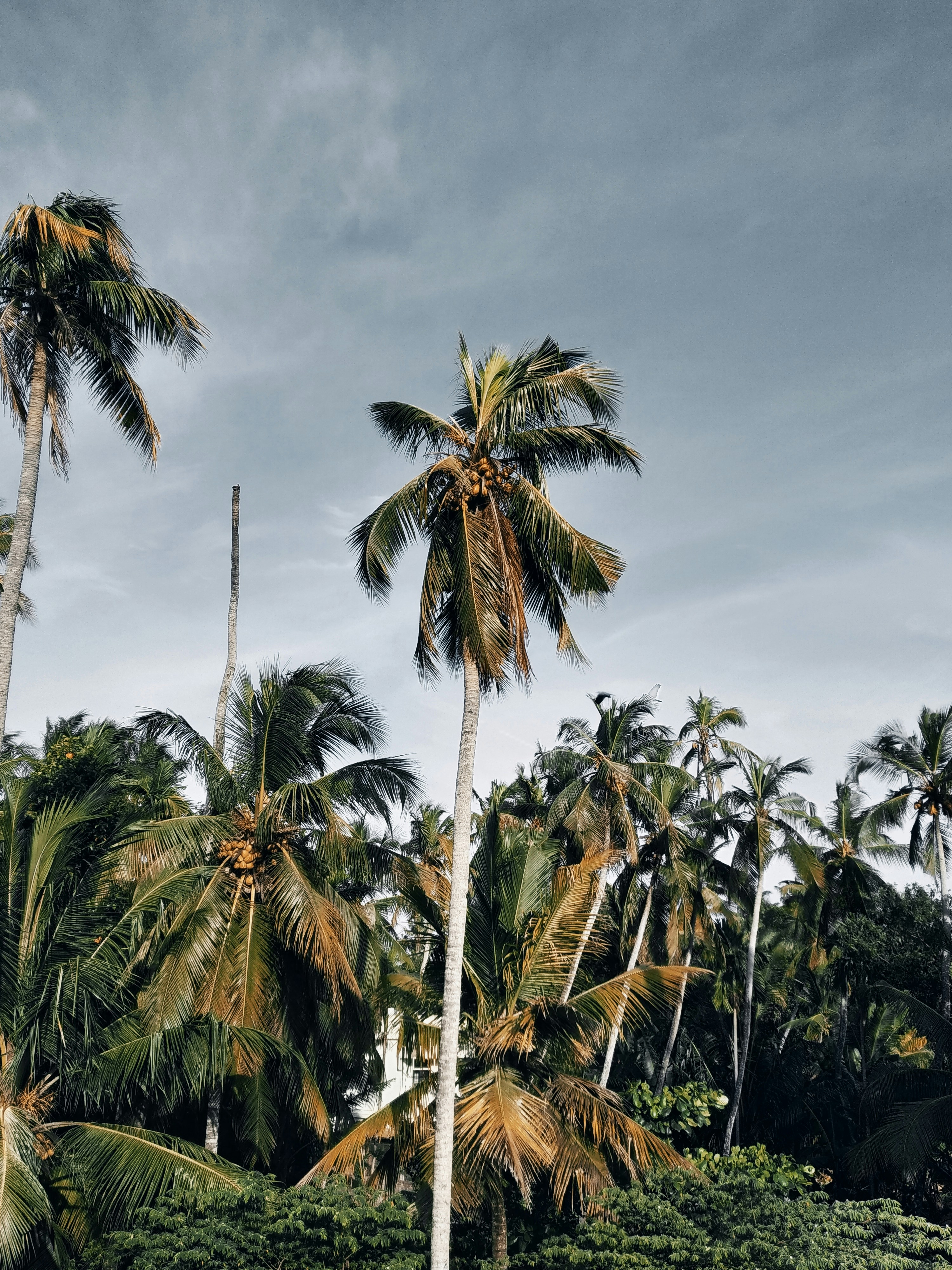 Photo by thedreambeast