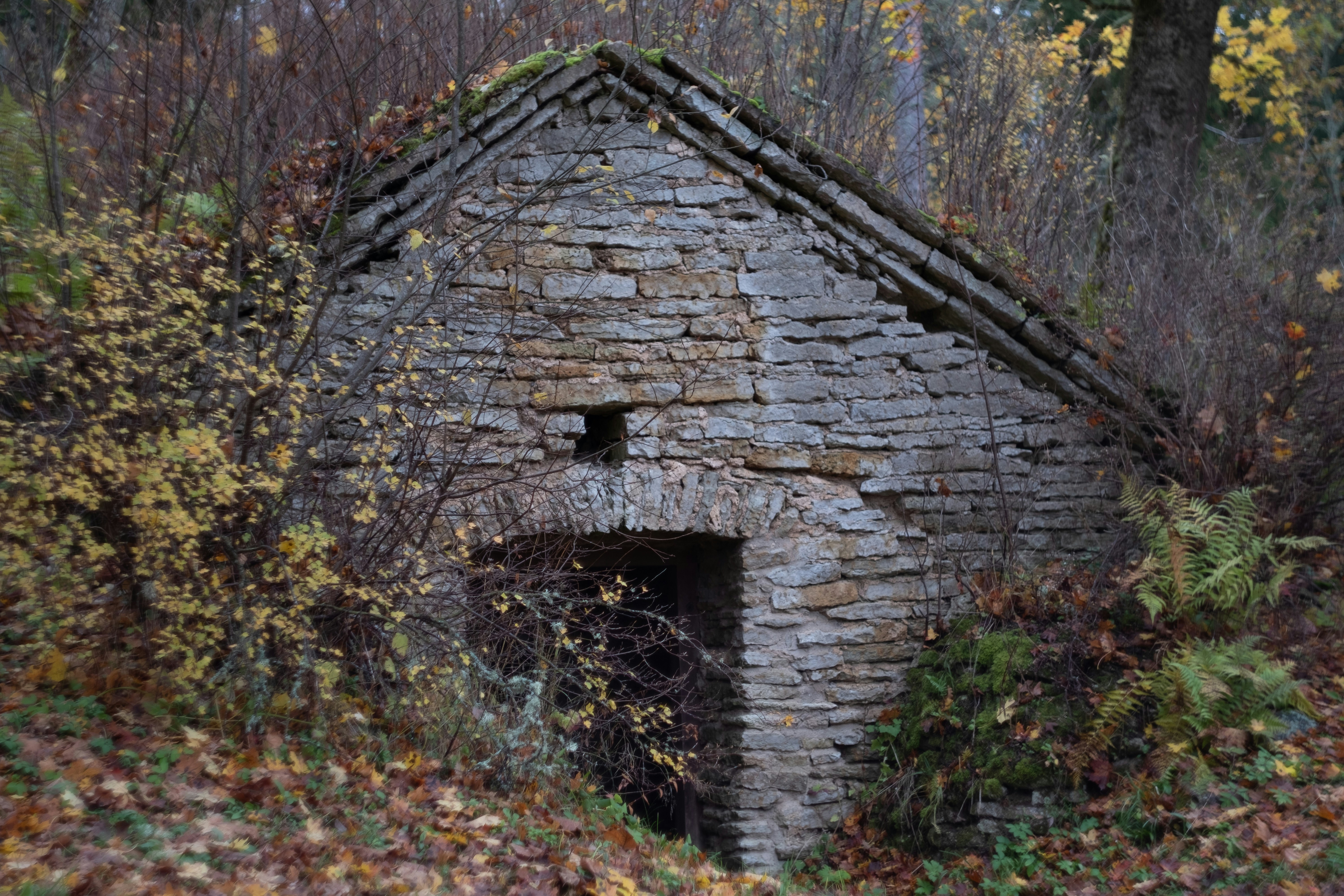 Photo by silverringvee