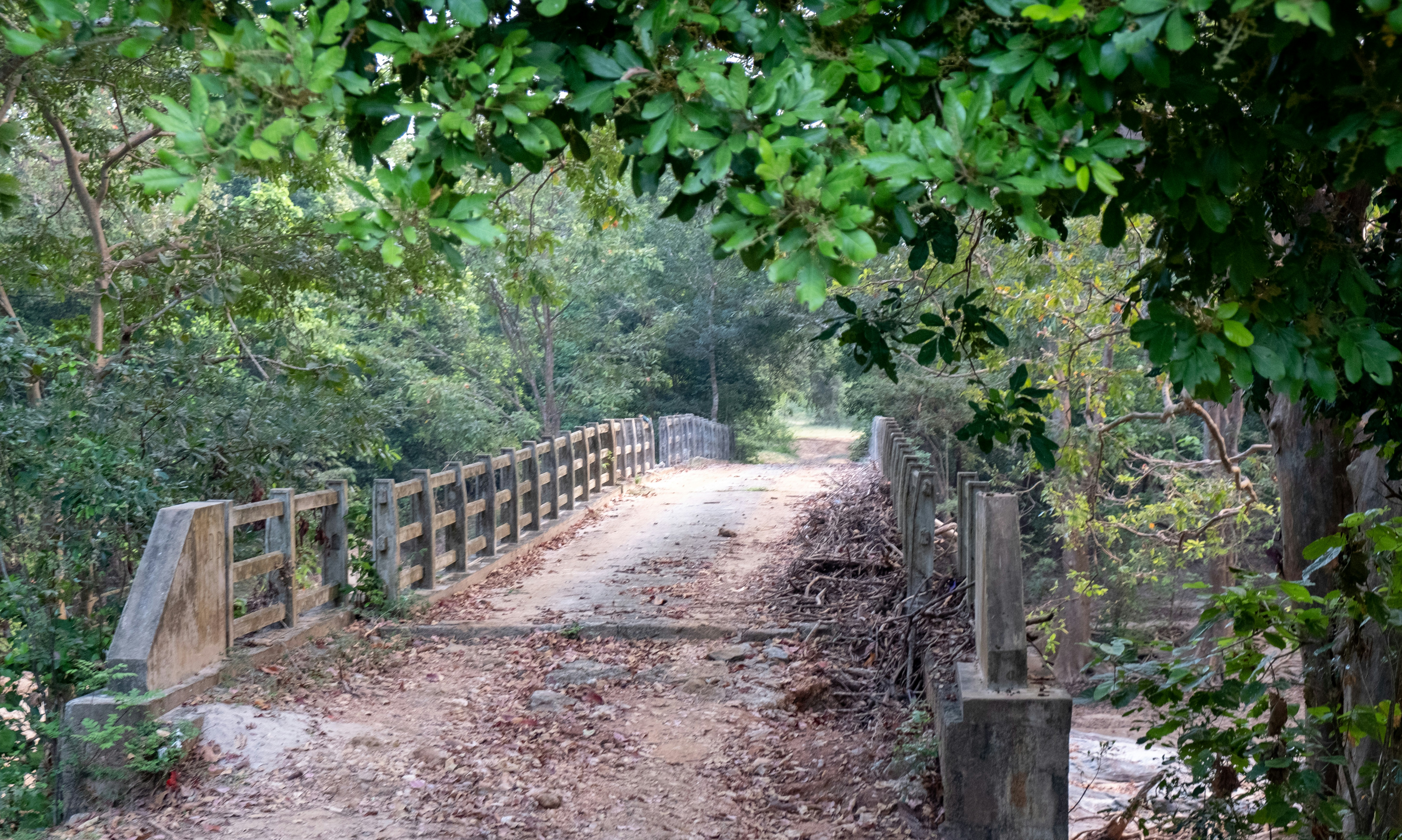 Photo by silverringvee