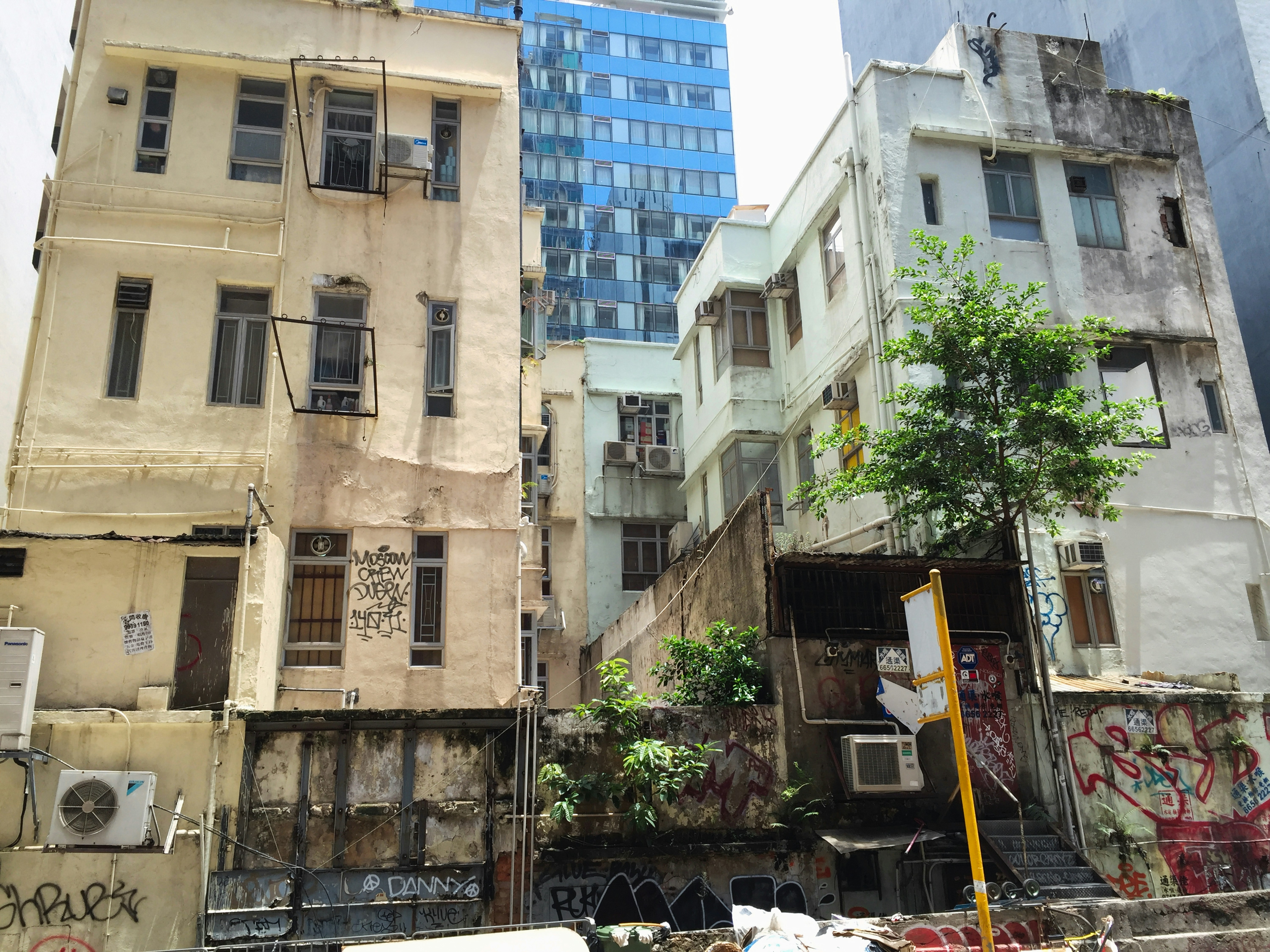 Photo by thomaskinto