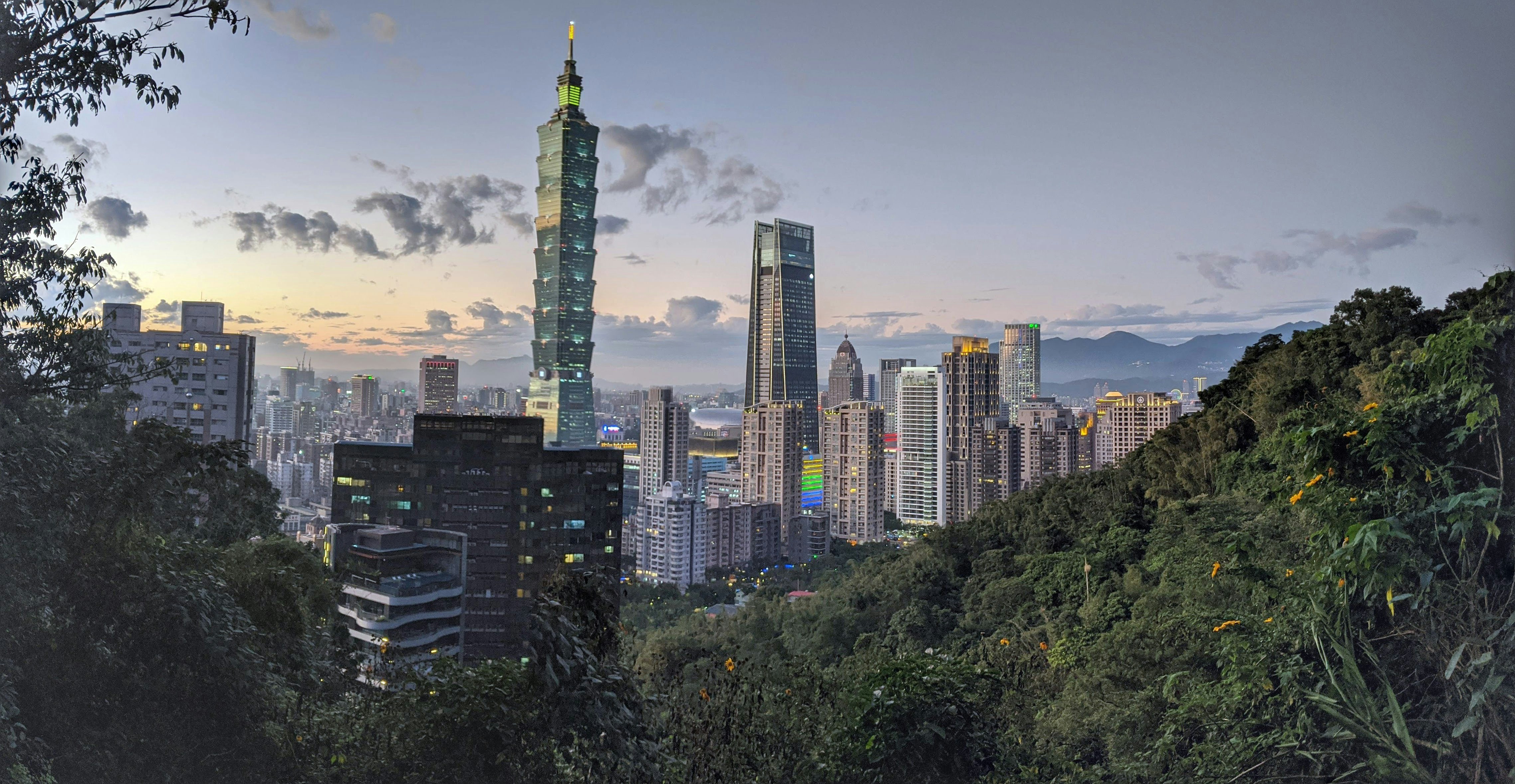 green trees near city buildings during daytime