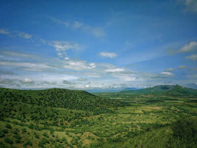 Wide shot of a sprawling game world with detailed landscapes.