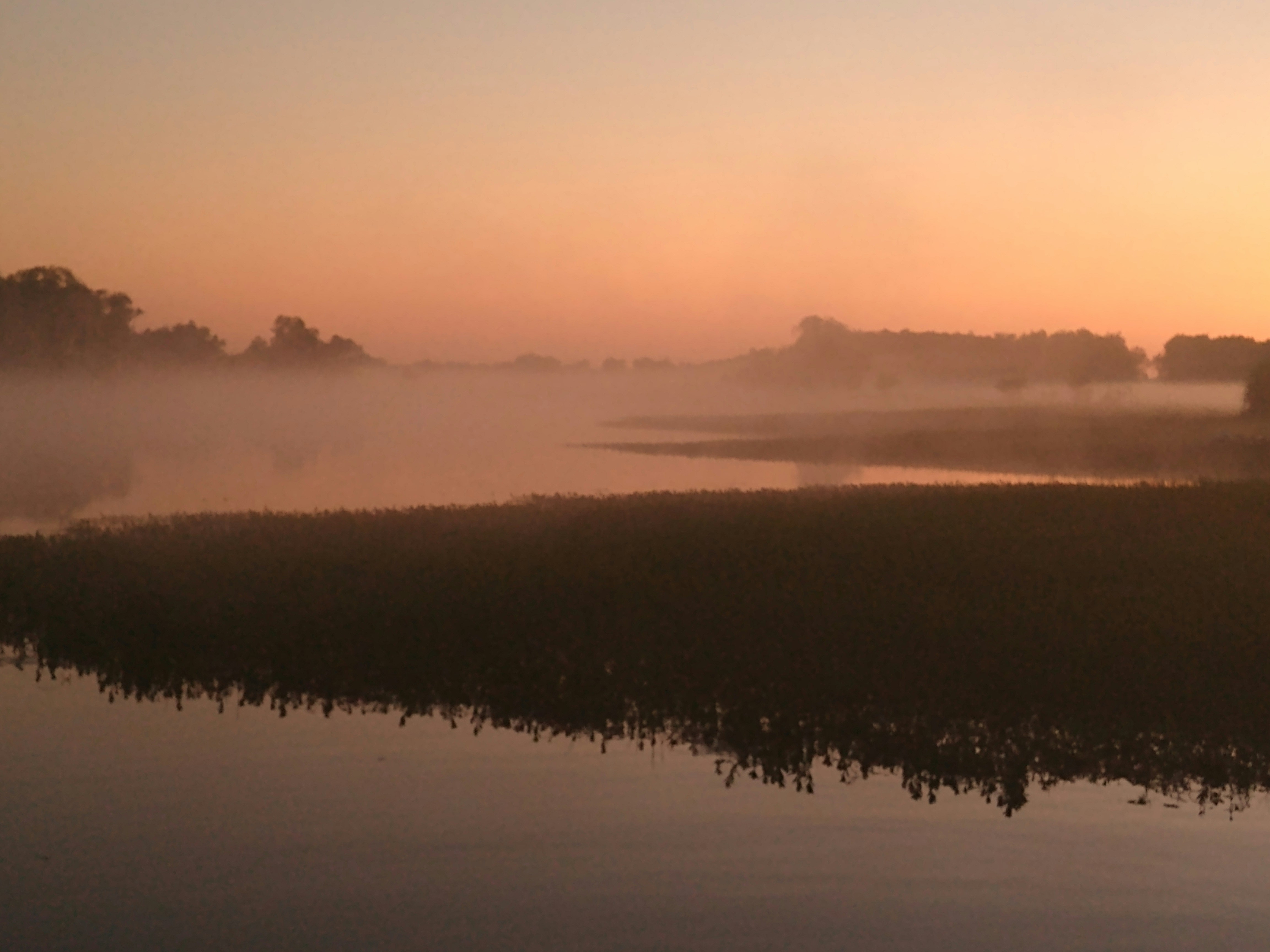 Sunrise on the Yellow River, Kakadu