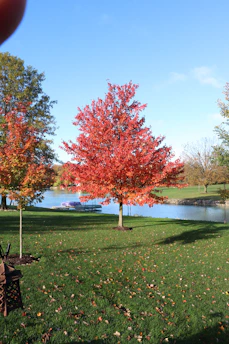 A vibrant autumn scene by Lake Superior with a lumberjack statue standing proudly among orange and blue foliage.