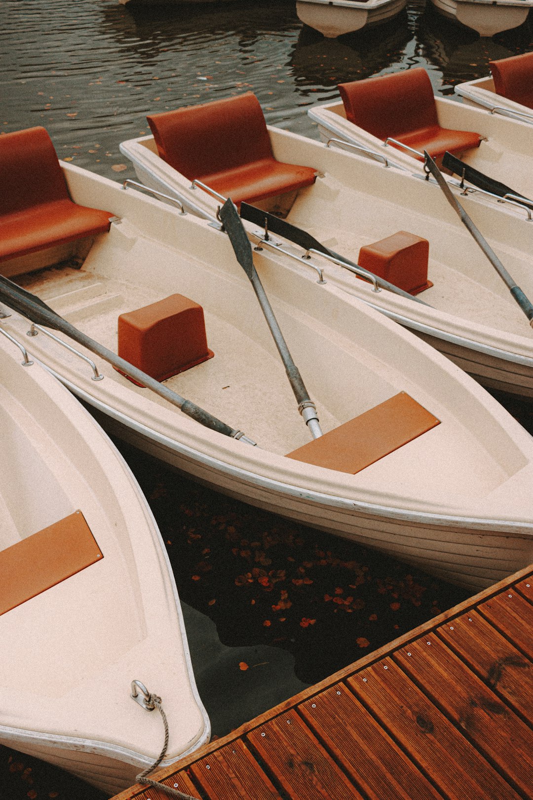 white and brown wooden boat