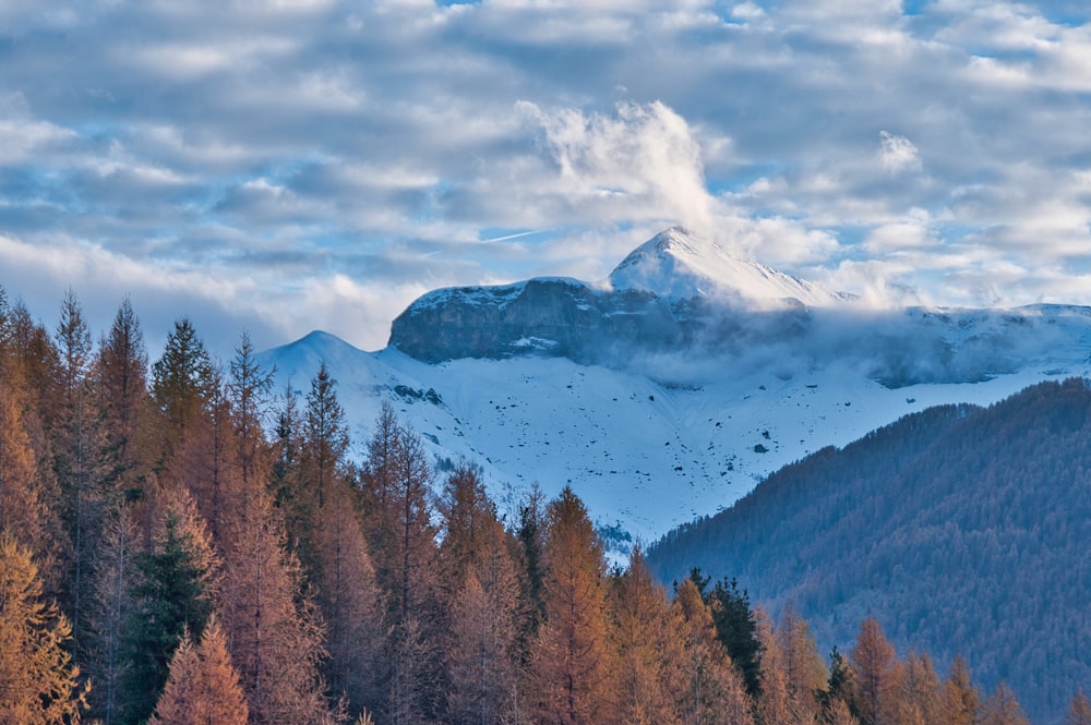 green and brown trees near mountain under white clouds during daytime