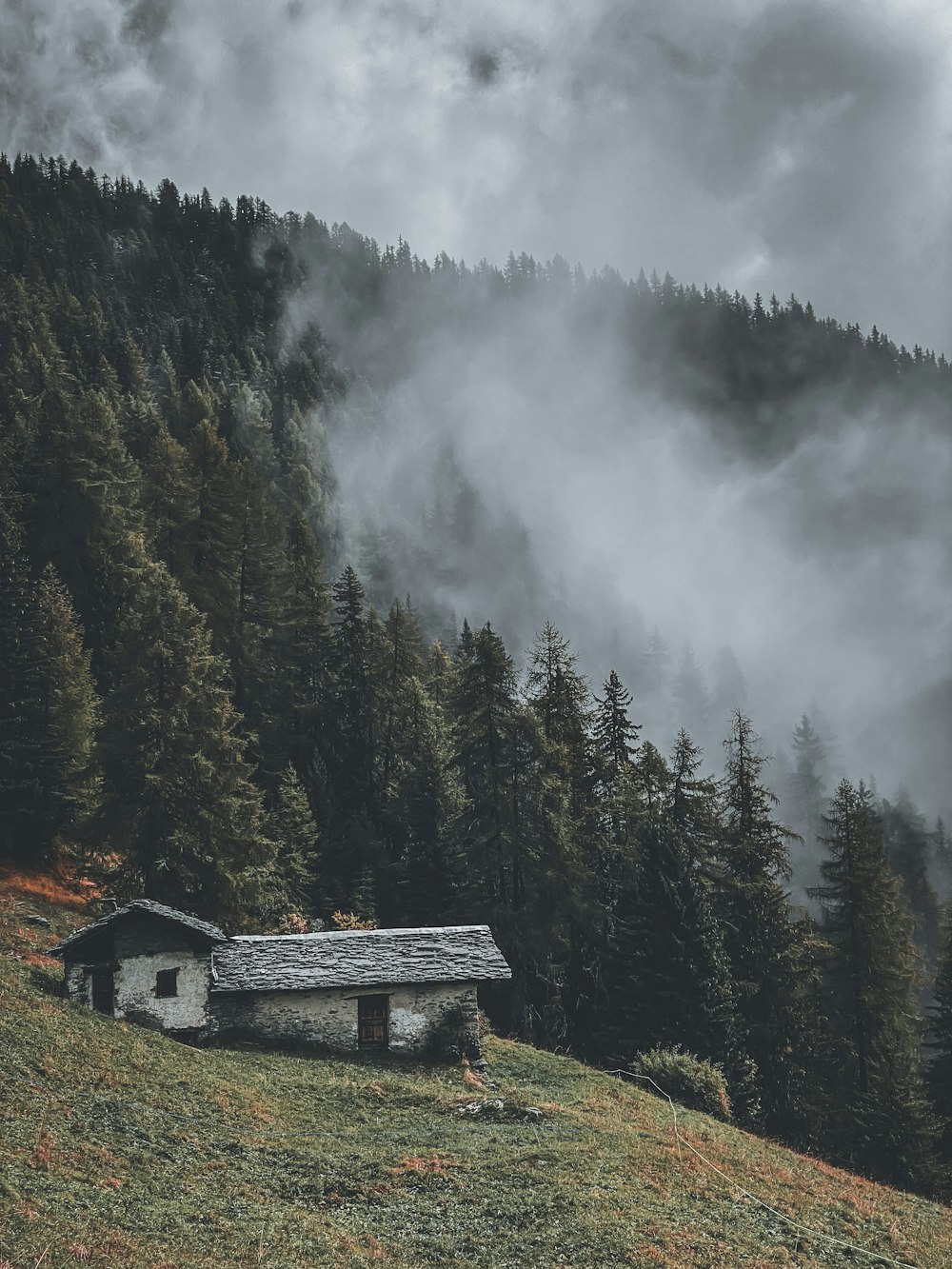 brown wooden house on green grass field near trees covered with fog