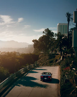 A convertible cruising along a palm-lined boulevard under clear blue skies