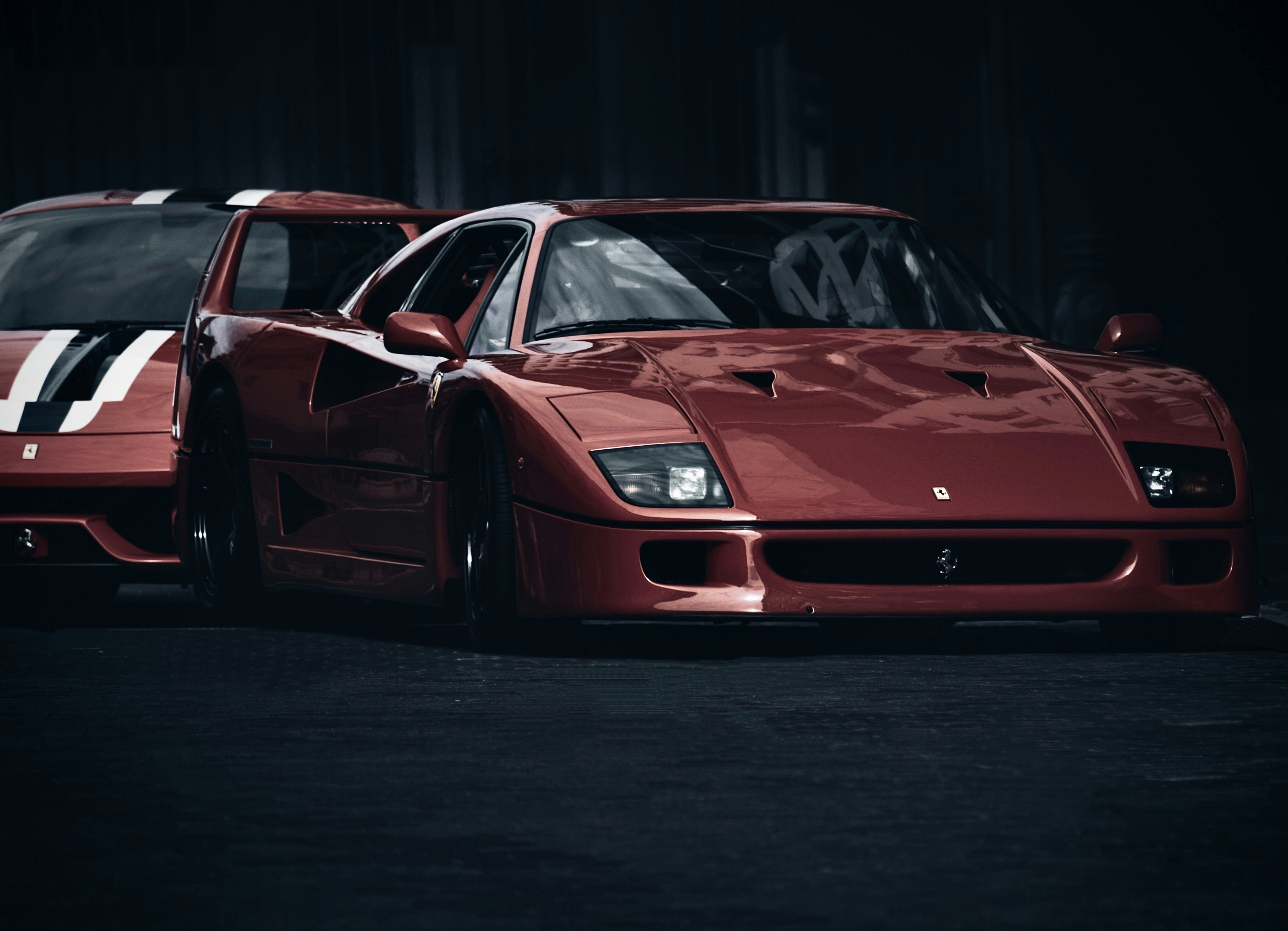 Photo by mohamed_ebrahim