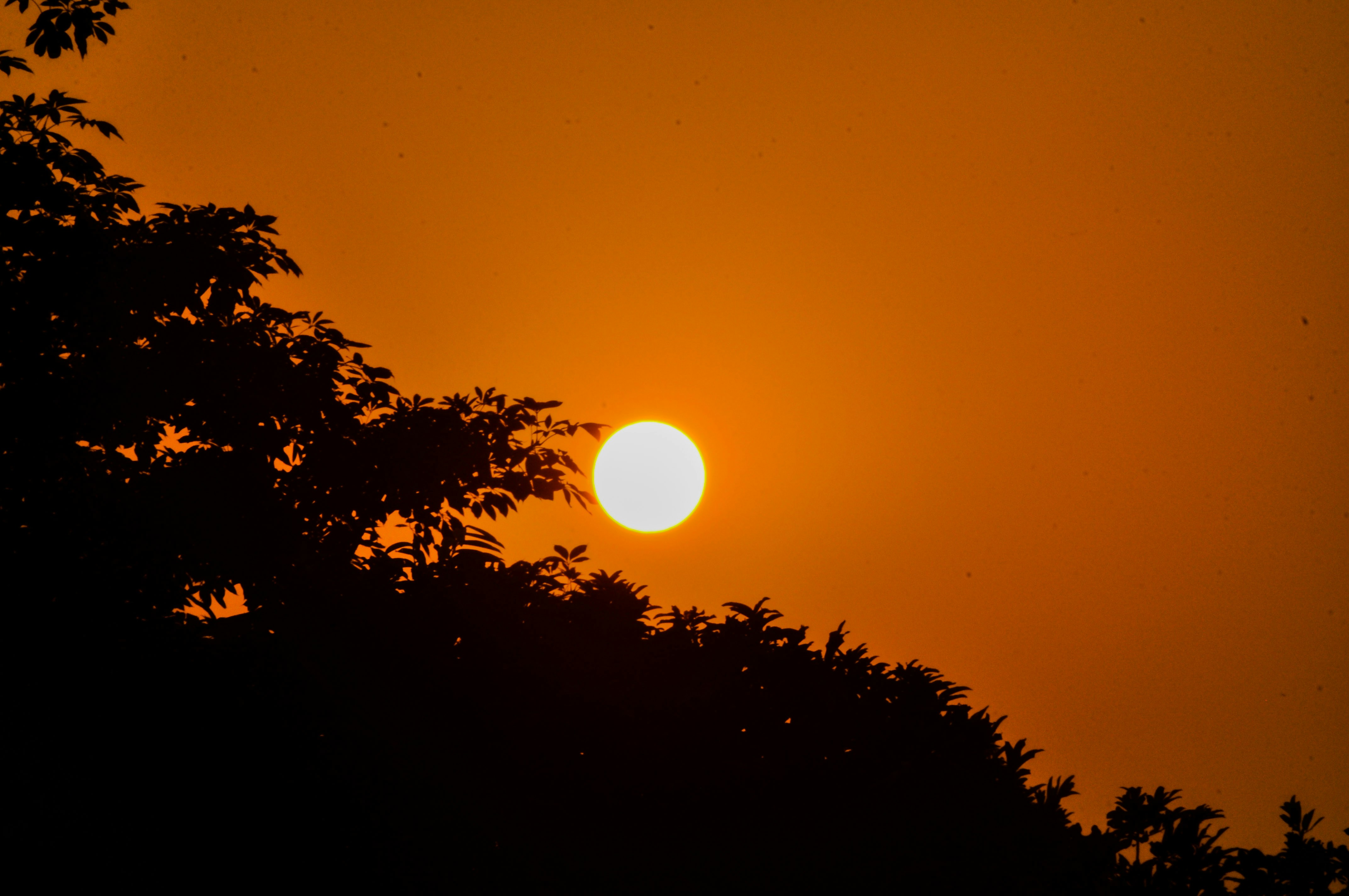 Photo by aryanghauri2020