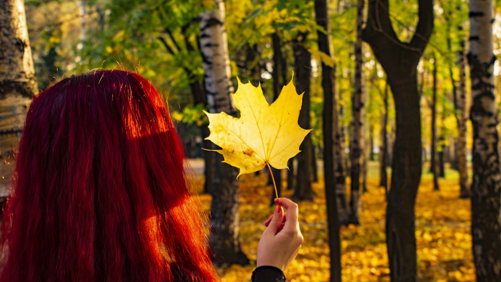 woman holding yellow maple leaf