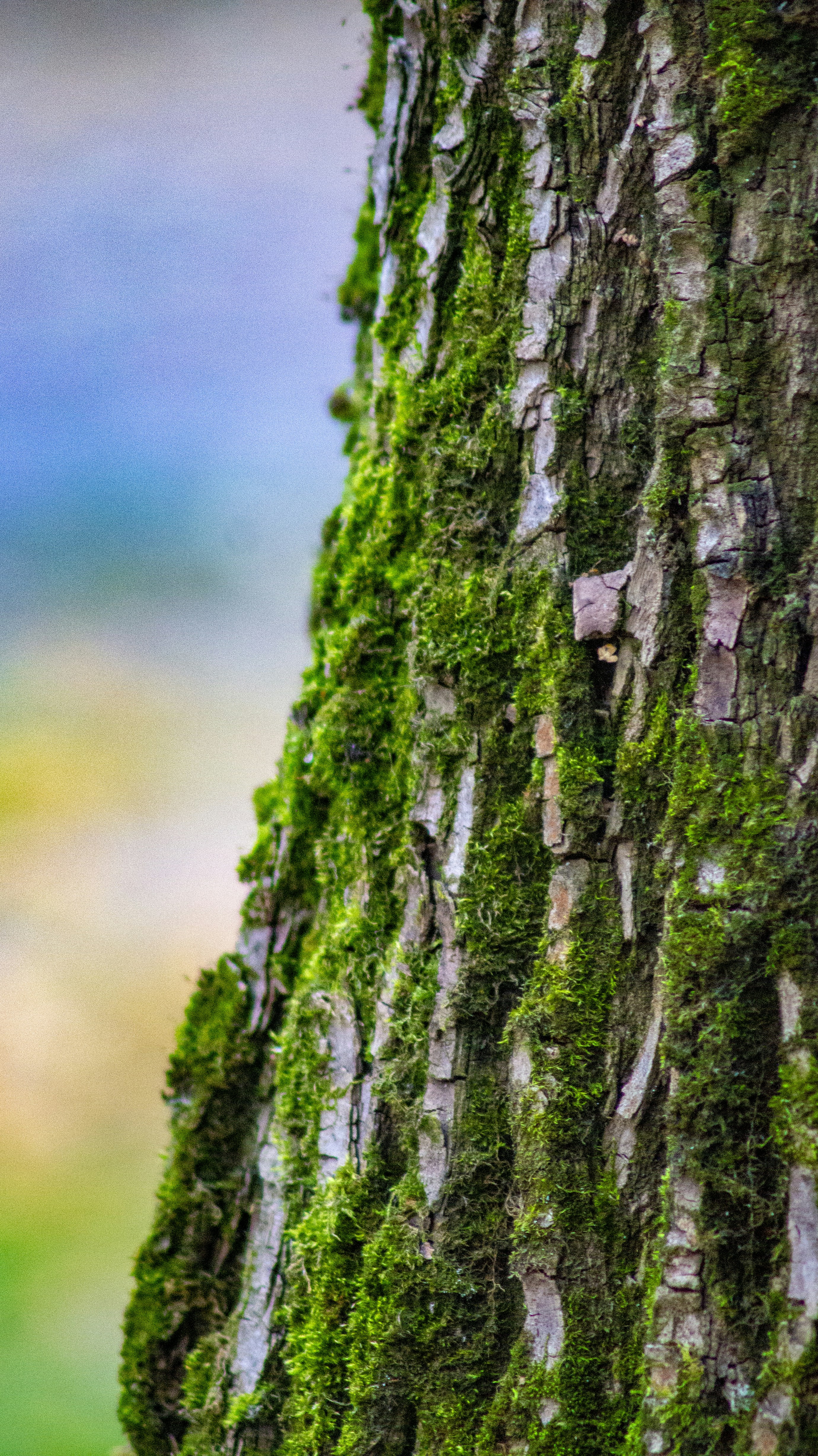 Photo by alex_devera