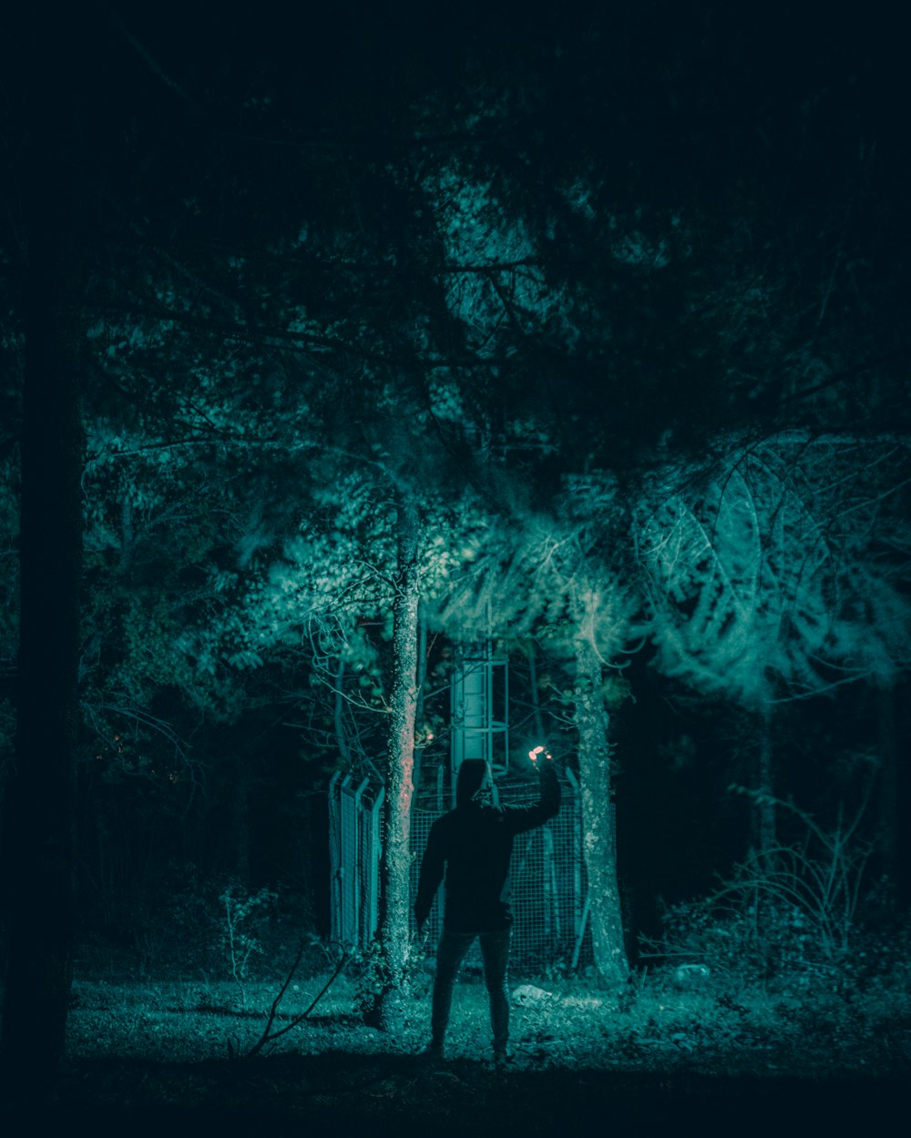 homme en veste noire debout dans la forêt