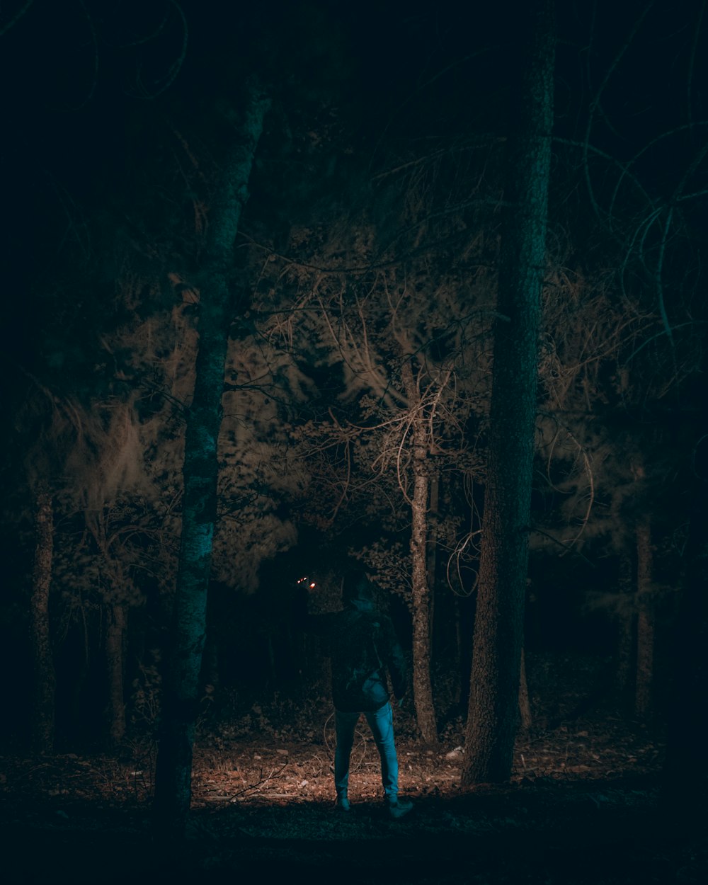 昼間の森に立つ黒いジャケットの男