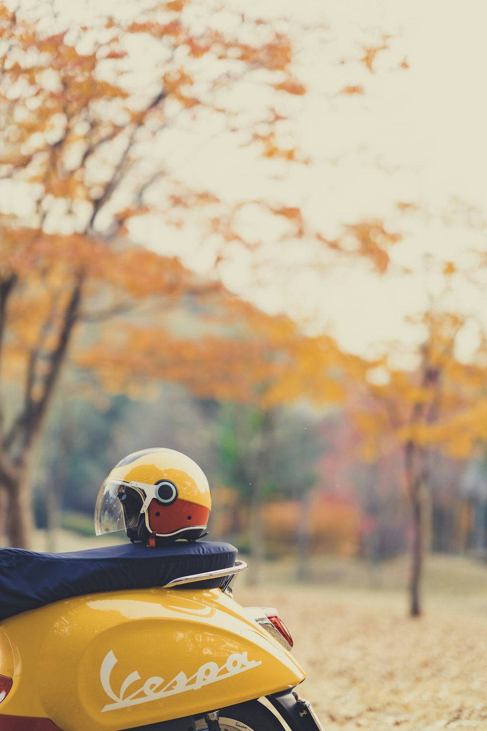 person in black jacket wearing white helmet