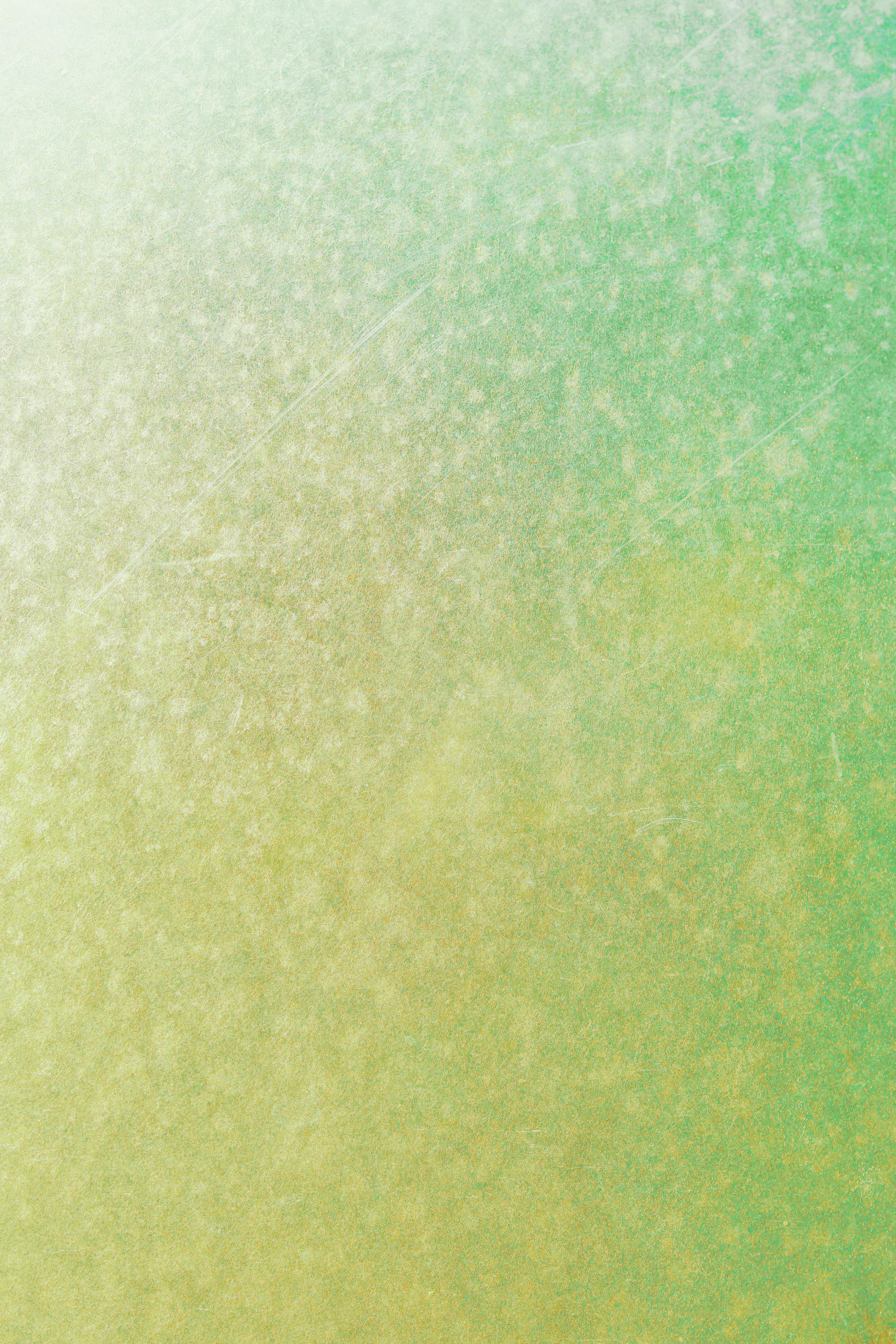 Photo by babybluecat