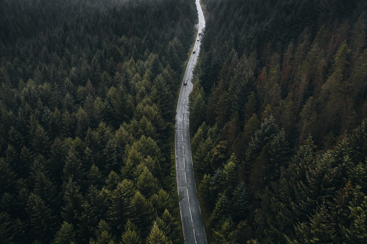 Forest Road