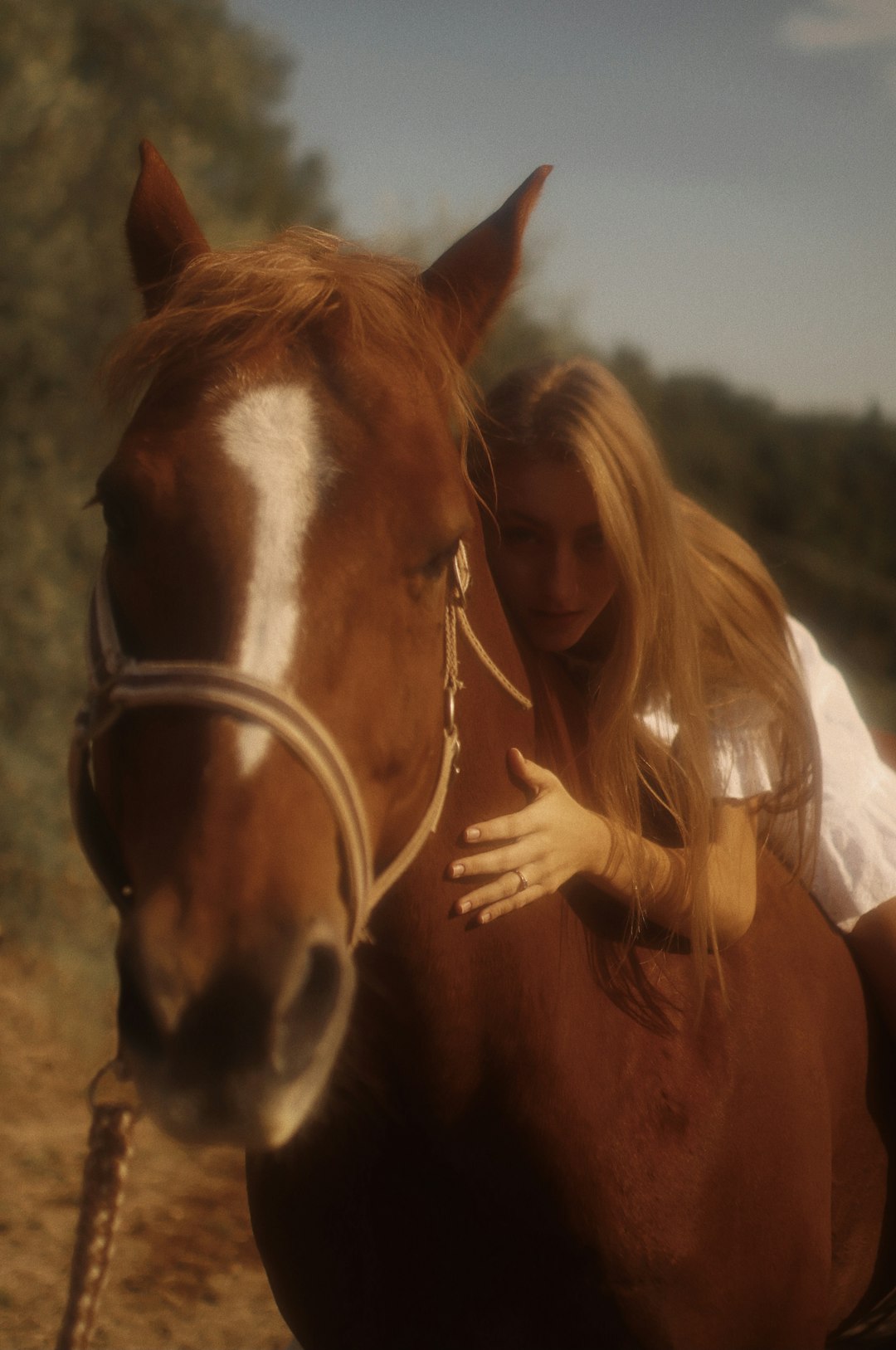 woman in white shirt holding brown horse