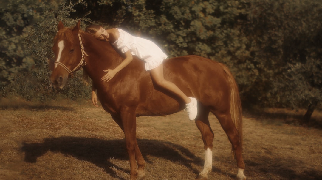 woman in white shirt riding brown horse during daytime