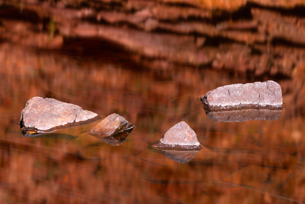 fragmento de pedra cinzenta na superfície de madeira marrom