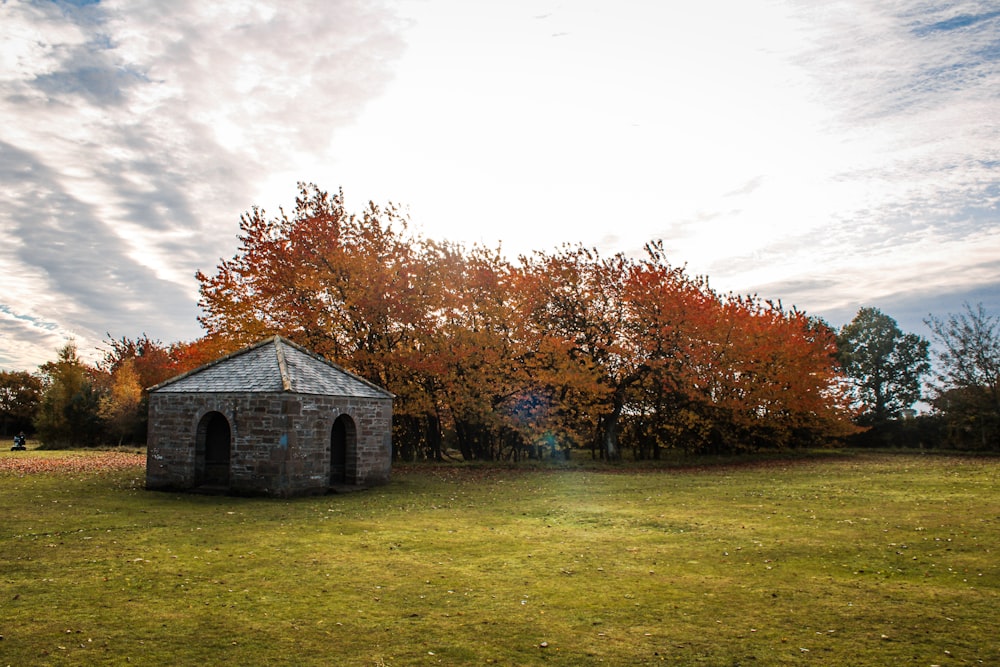 gray wooden house near brown trees under white clouds during daytime