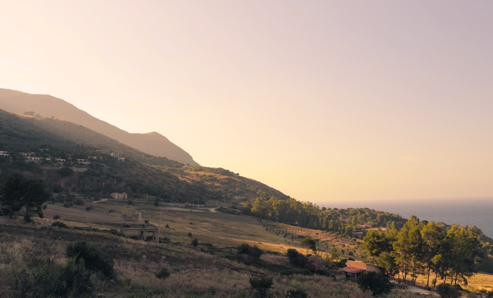 alberi verdi sulla montagna durante il giorno