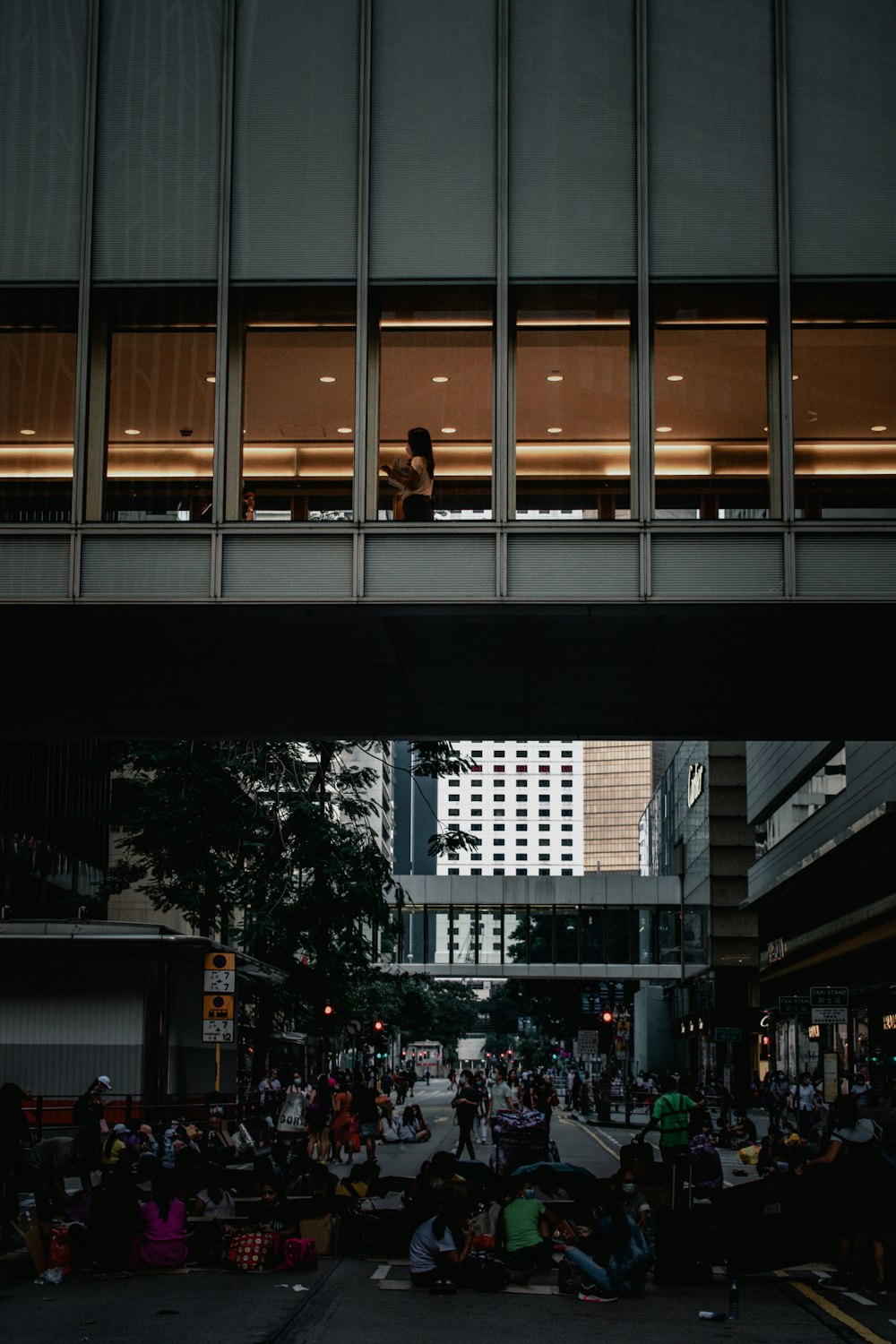 people walking on pedestrian lane during daytime