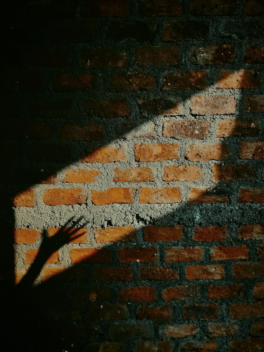 Pared de ladrillo marrón y negro