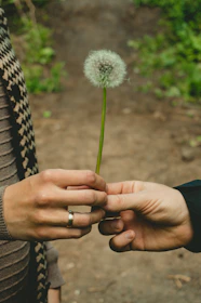Close-up of hands exchanging keys with a scenic rural background.