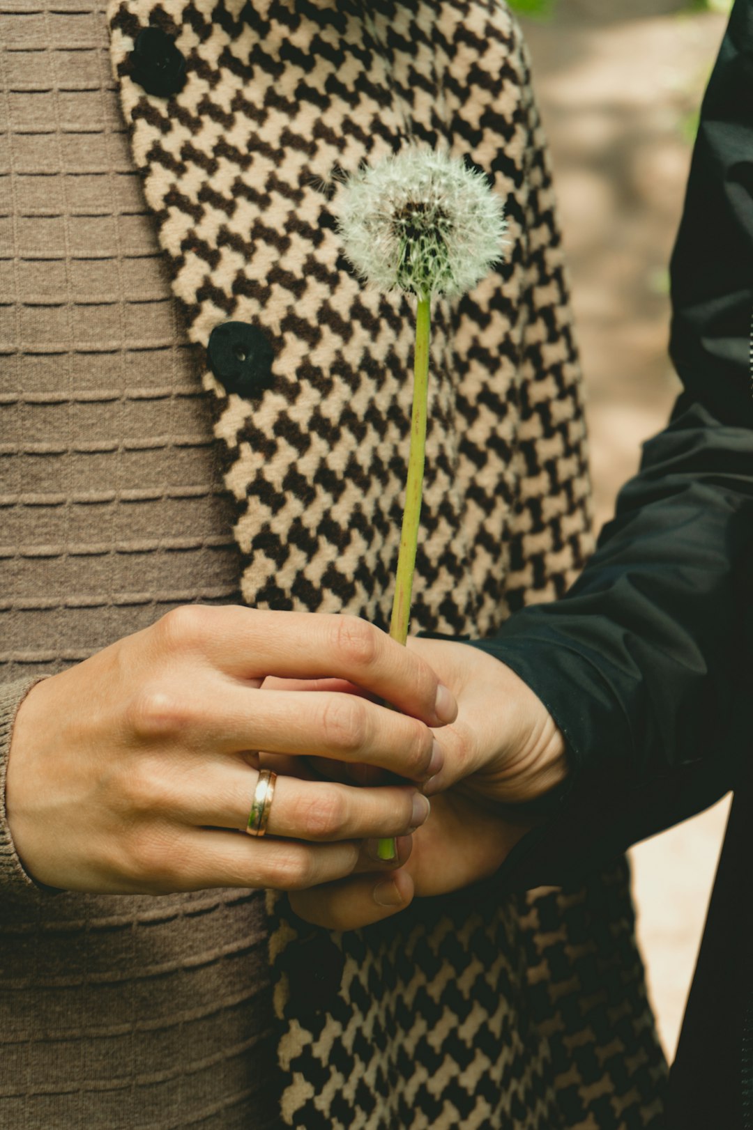 person holding white and green flower