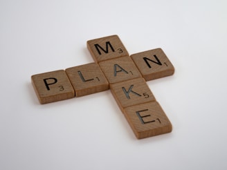 Tax Law - Tax Planning