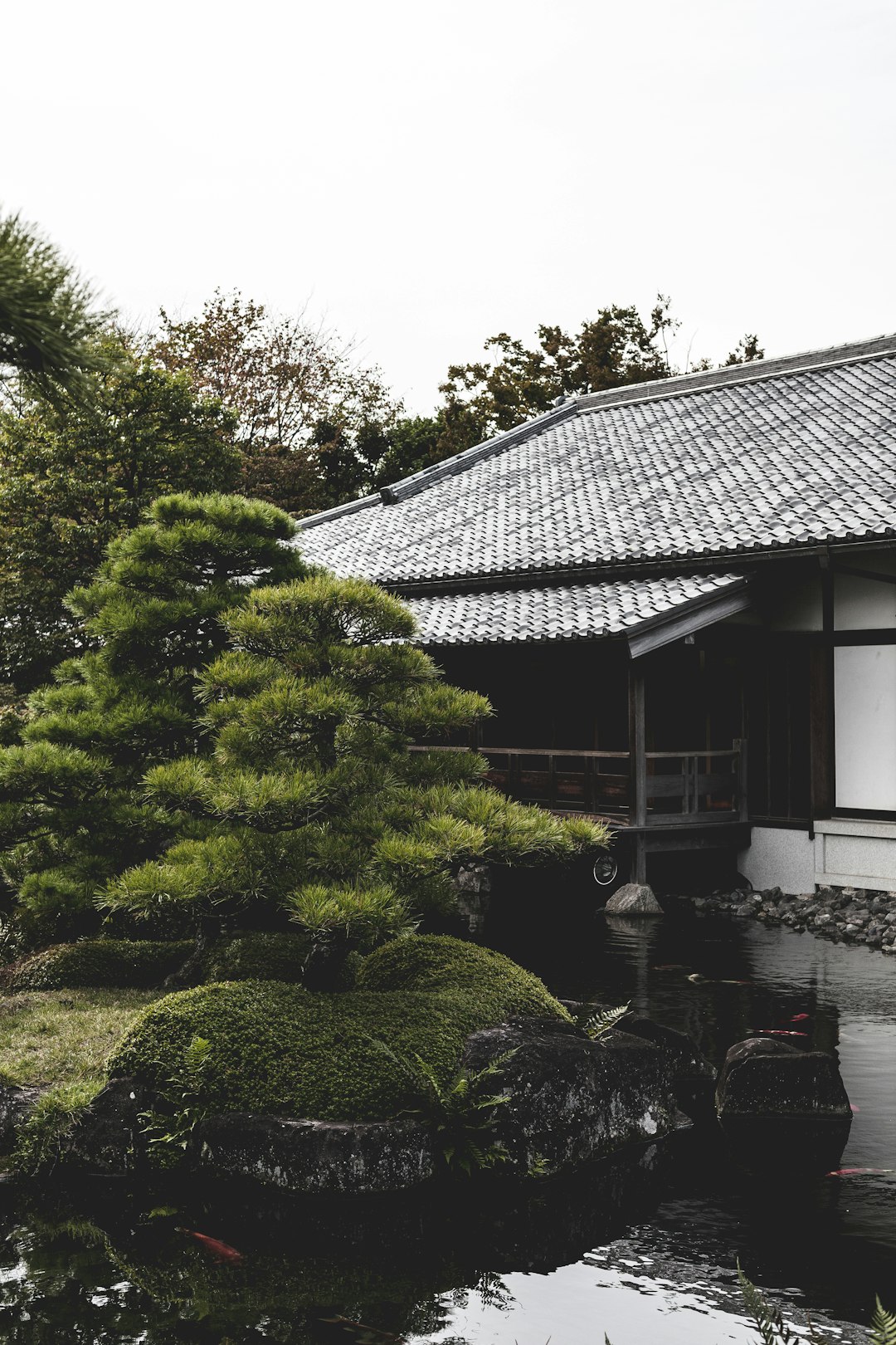 white and black house near green trees during daytime