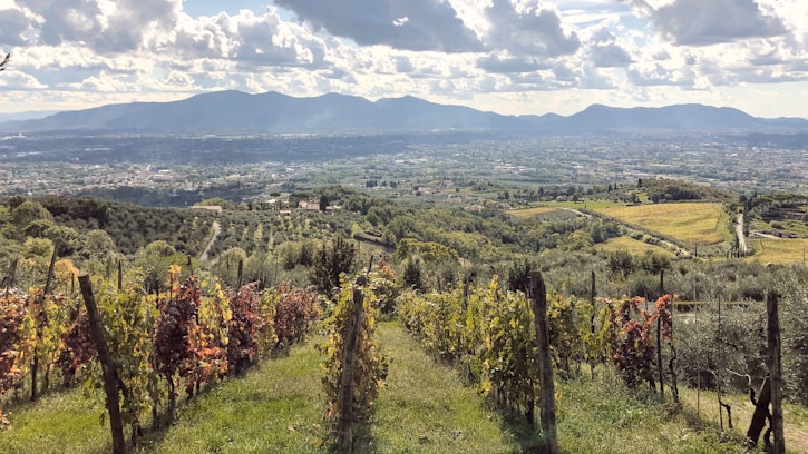 Lucca: tuscany: best day trips from florence