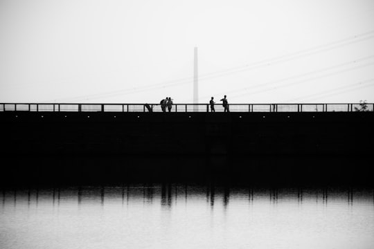 silhouette of people standing on dock in grayscale photography in Kam Shan Country Park Hong Kong