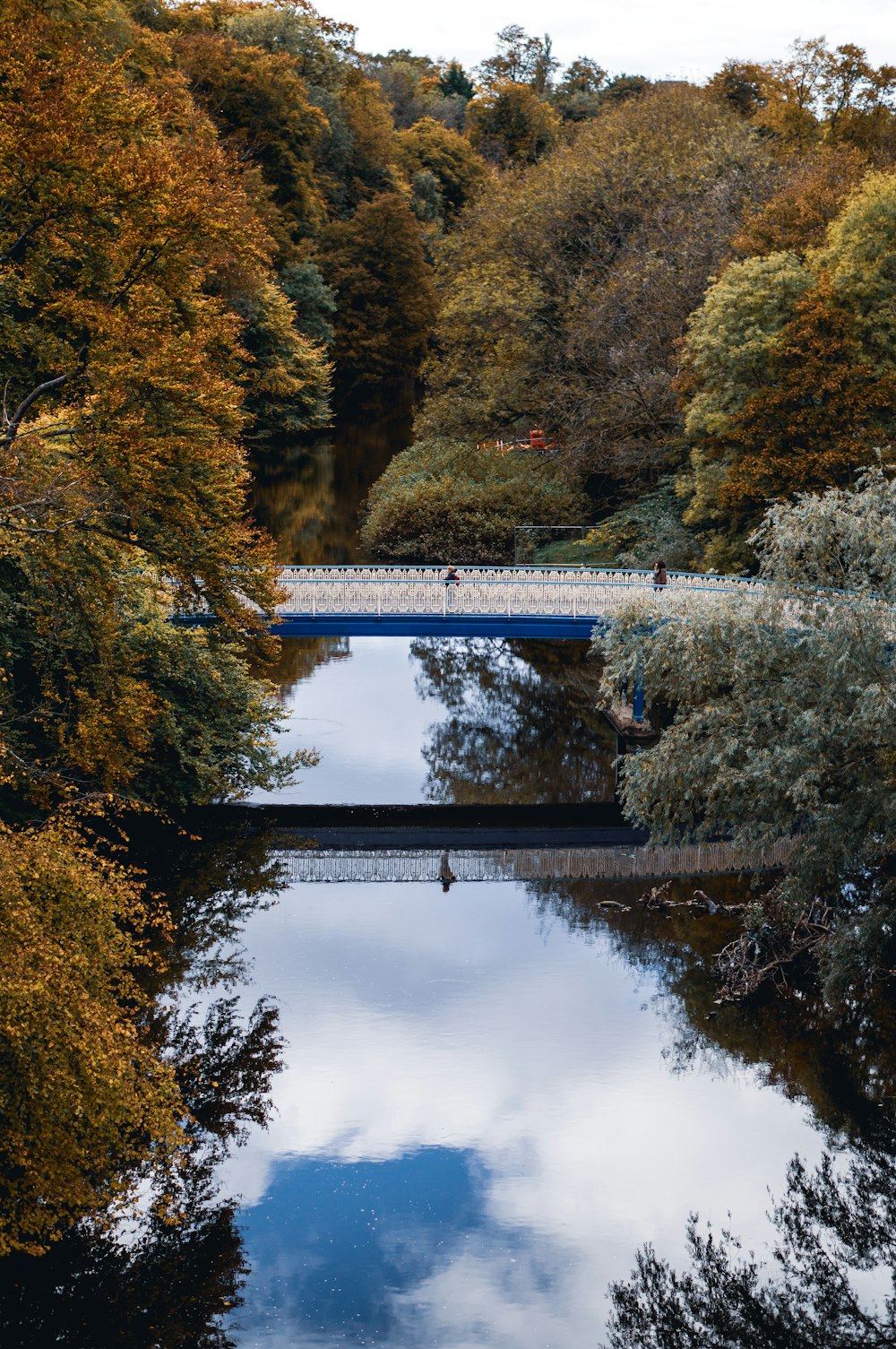 white bridge over river surrounded by trees