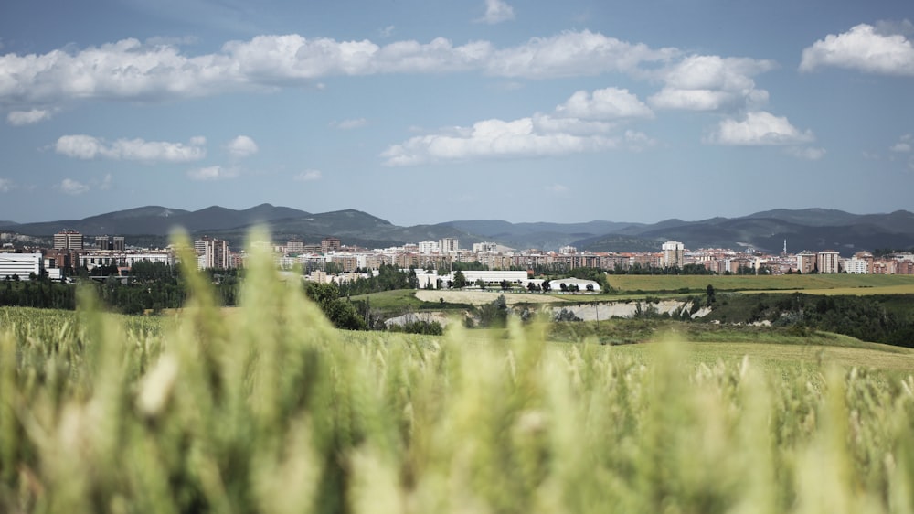 a view of a city with mountains in the background