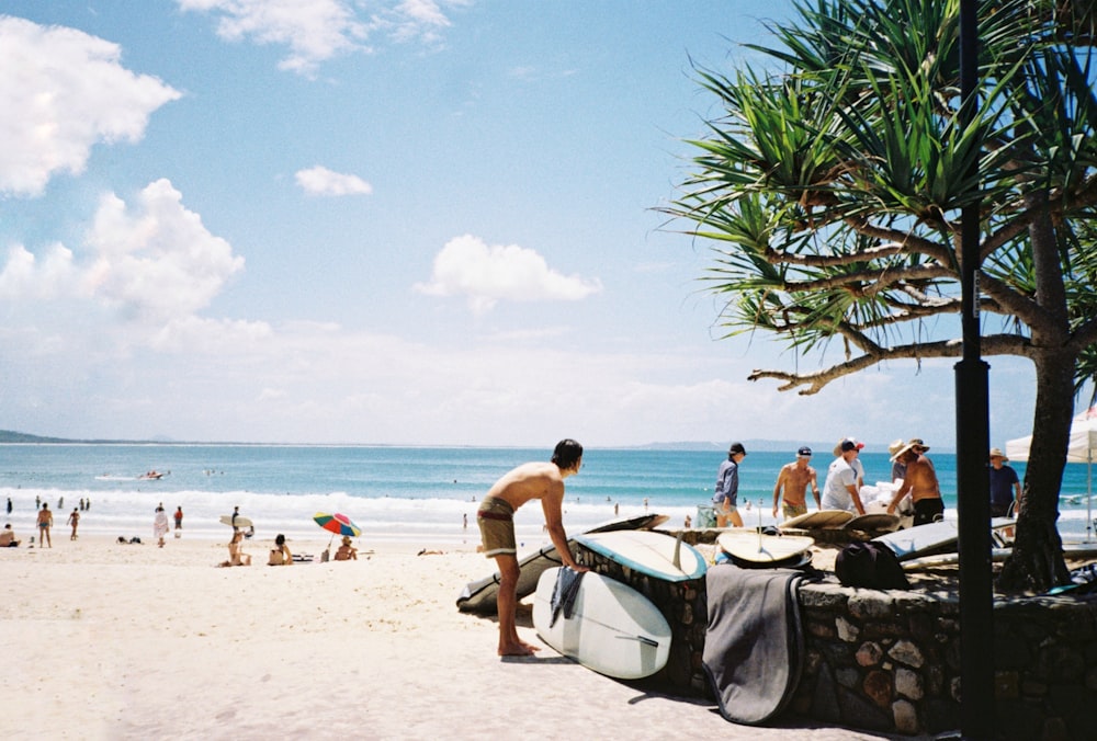 people on beach during daytime