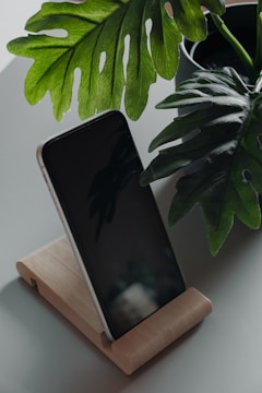 A sleek smartphone resting on a wooden table beside a small potted plant.