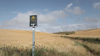 no smoking sign on brown grass field under blue sky during daytime