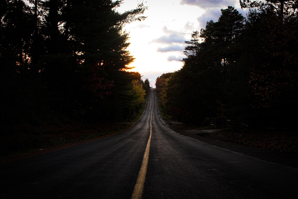 gray asphalt road between green trees under white clouds and blue sky during daytime