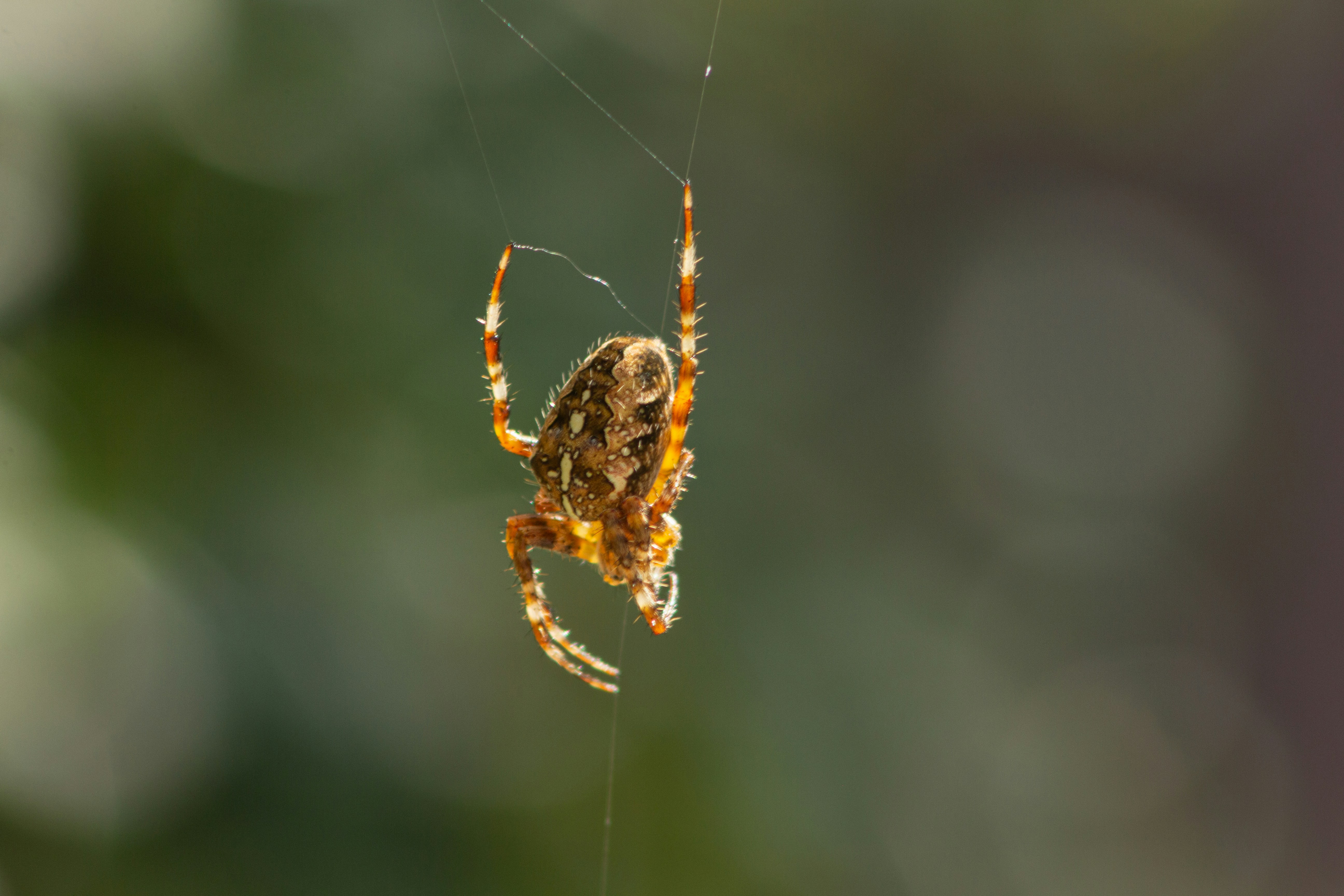 Photo by shutter_speed_