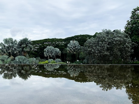 A serene natural scene with green and beige tones reflecting wellness and calm.