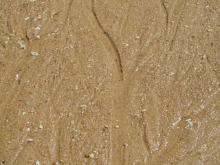 Wet sand with a smooth surface and scattered small stones and shells creating a natural texture.