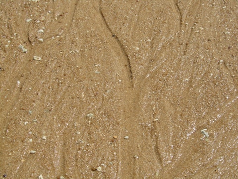 Wet sand with a smooth surface and scattered small stones and shells creating a natural texture.
