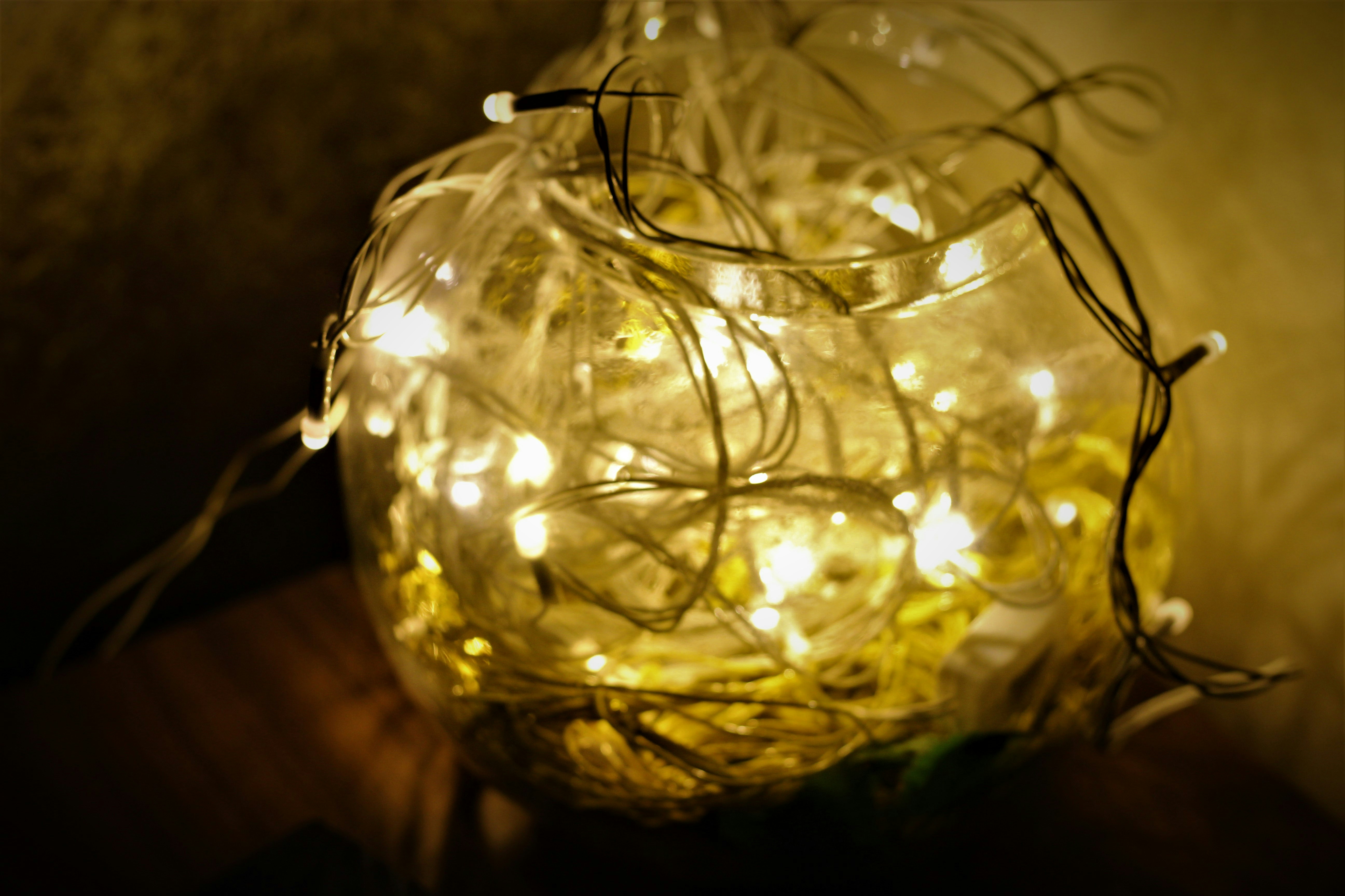 Photo by peggie_mishra