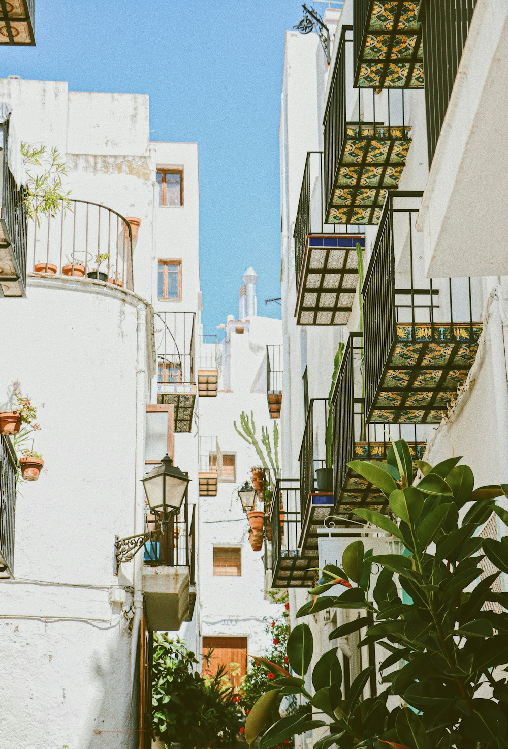 green potted plants on white concrete building during daytime