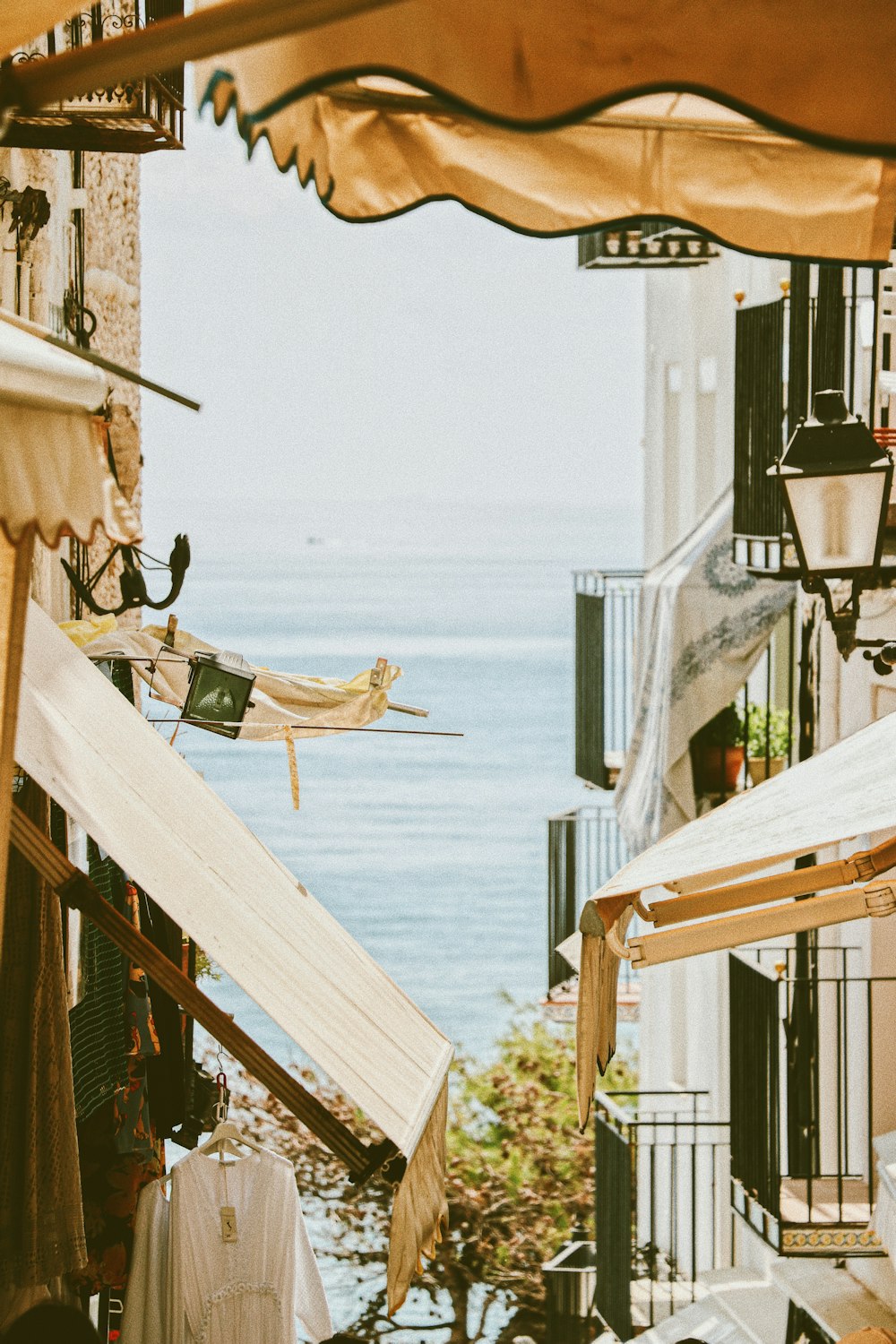 birds flying over the sea during daytime